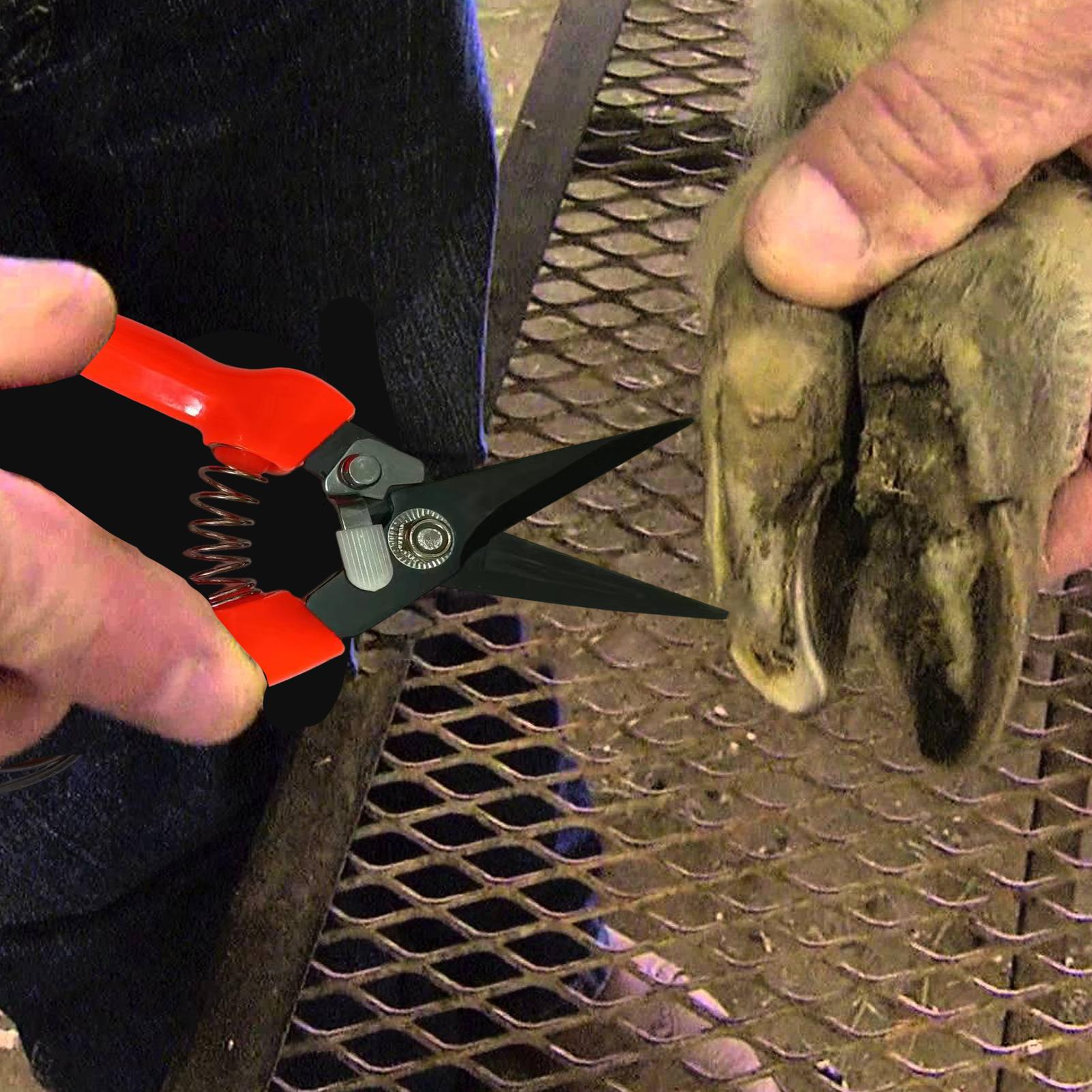 Garden Hand Trowel - Schafhuf-Trimmer, Strauch- und Blumen-Gartenschere, Ziegenschere, Alpaka-
