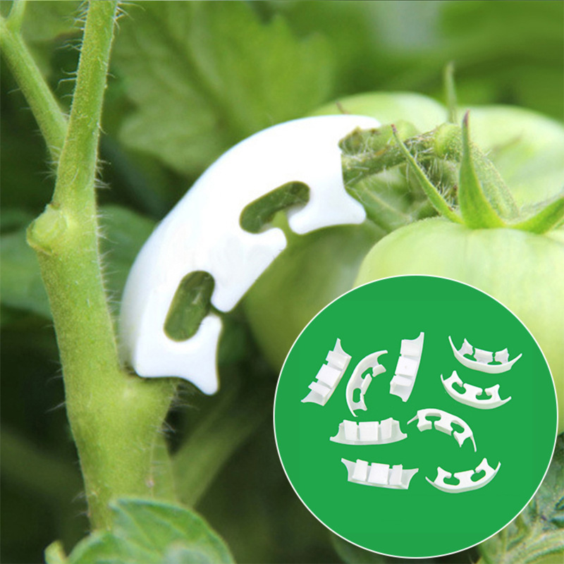 Gardening Tools Bundle - 50/100 stücke Botanik-stem Reben Umreifung Clips