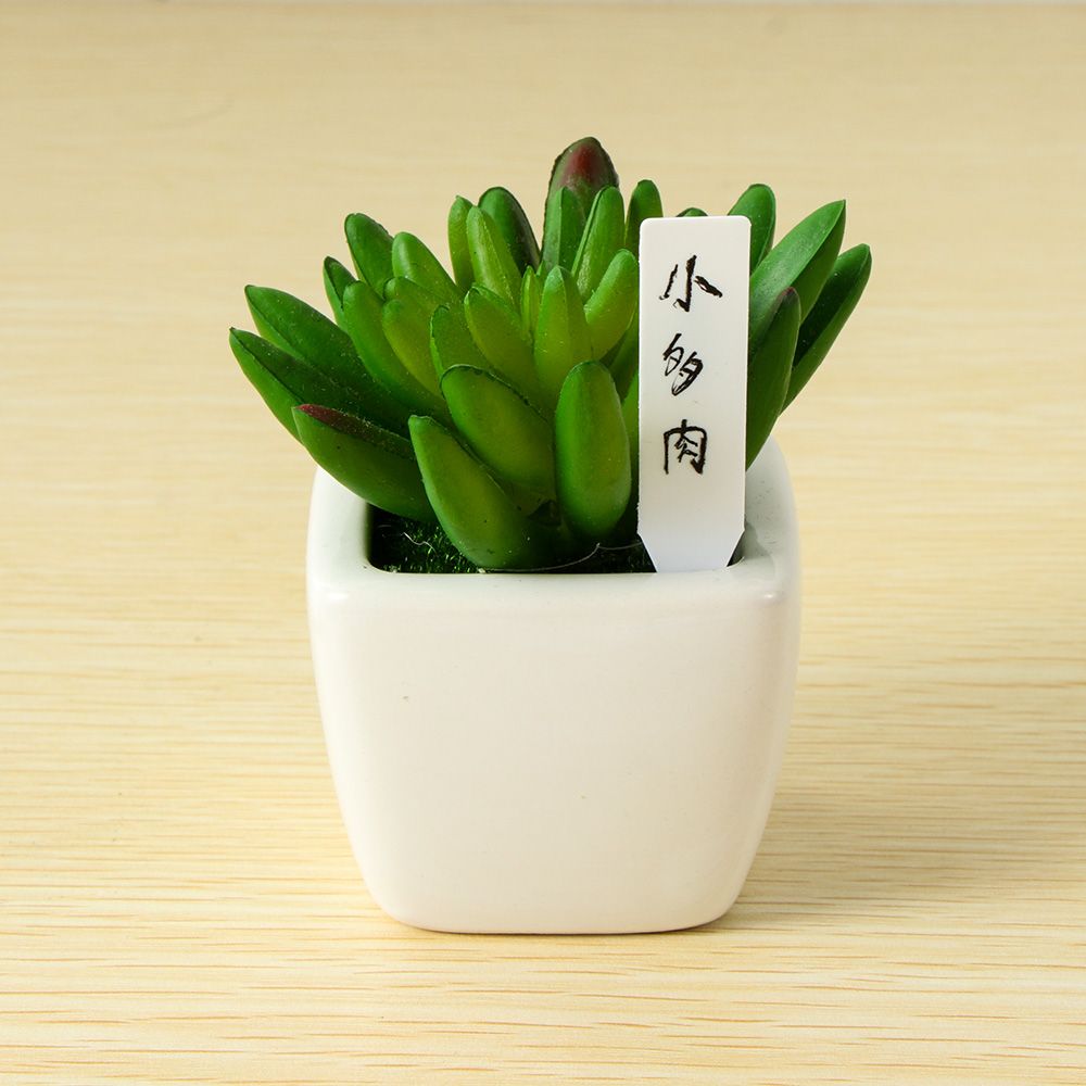 100 Stück Mini Kunststoff Pfla – Gardening Tools Labeled Bewertung und Preis
