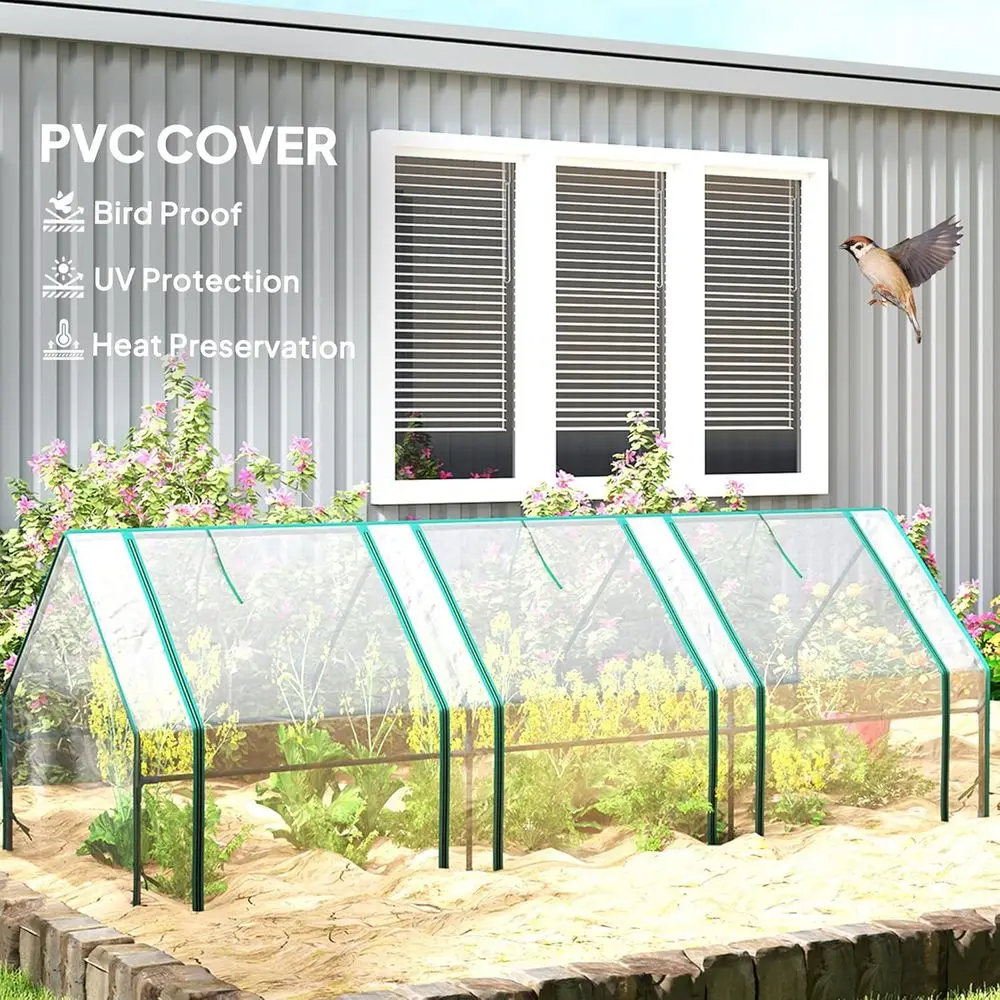 Tragbares Mini-Gewächshaus für – Greenhouse Mini Indoor Bewertung und Preis