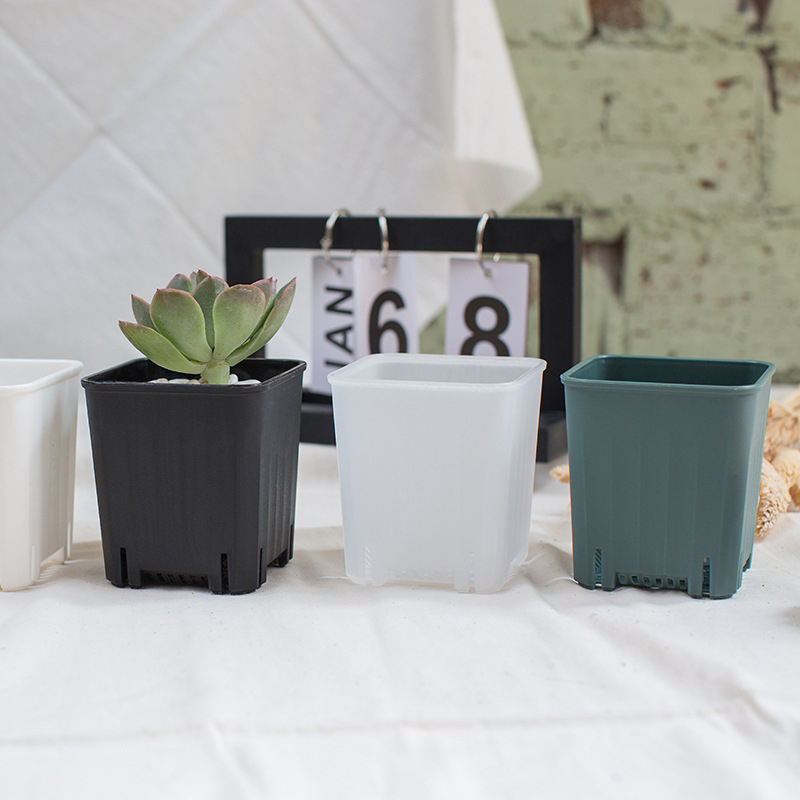 5pcs 5/8cm kleiner quadratisch – Seed Starter Trays Bewertung und Preis