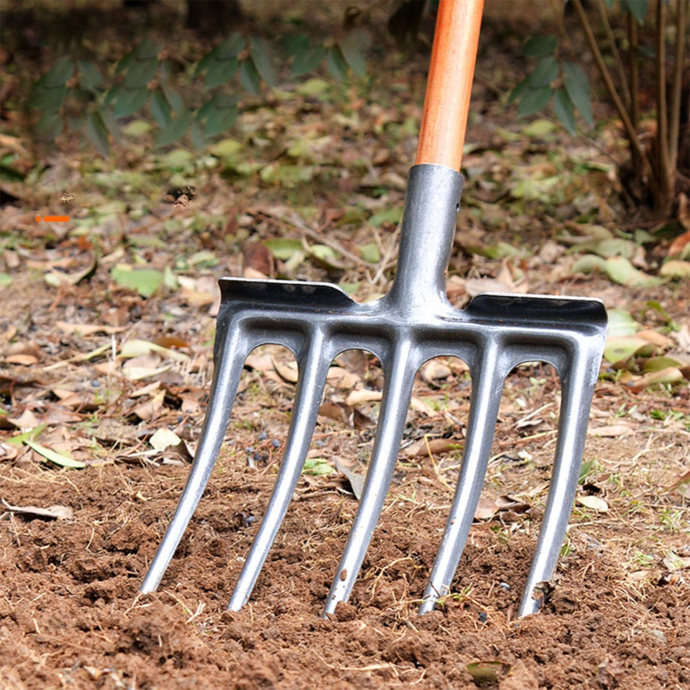 Robuste Grabegabel aus Kohlens – Spade Digging Fork Bewertung und Preis