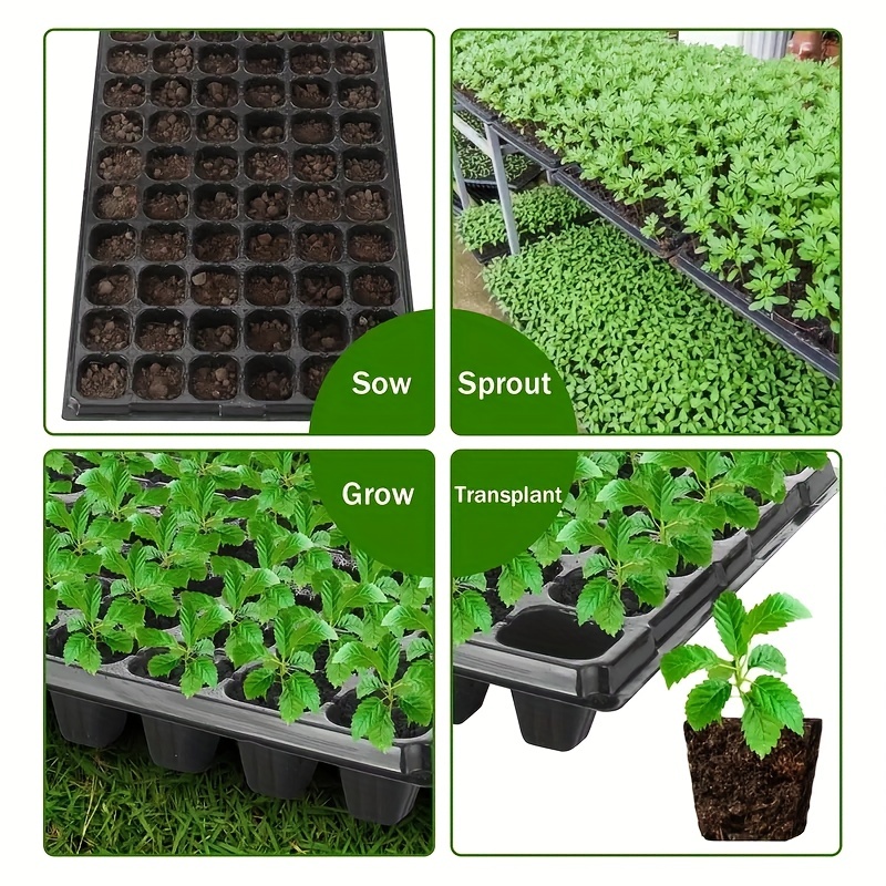 10-20 Pflanzschalen, Gewächsha – Seed Starter Trays Bewertung und Preis