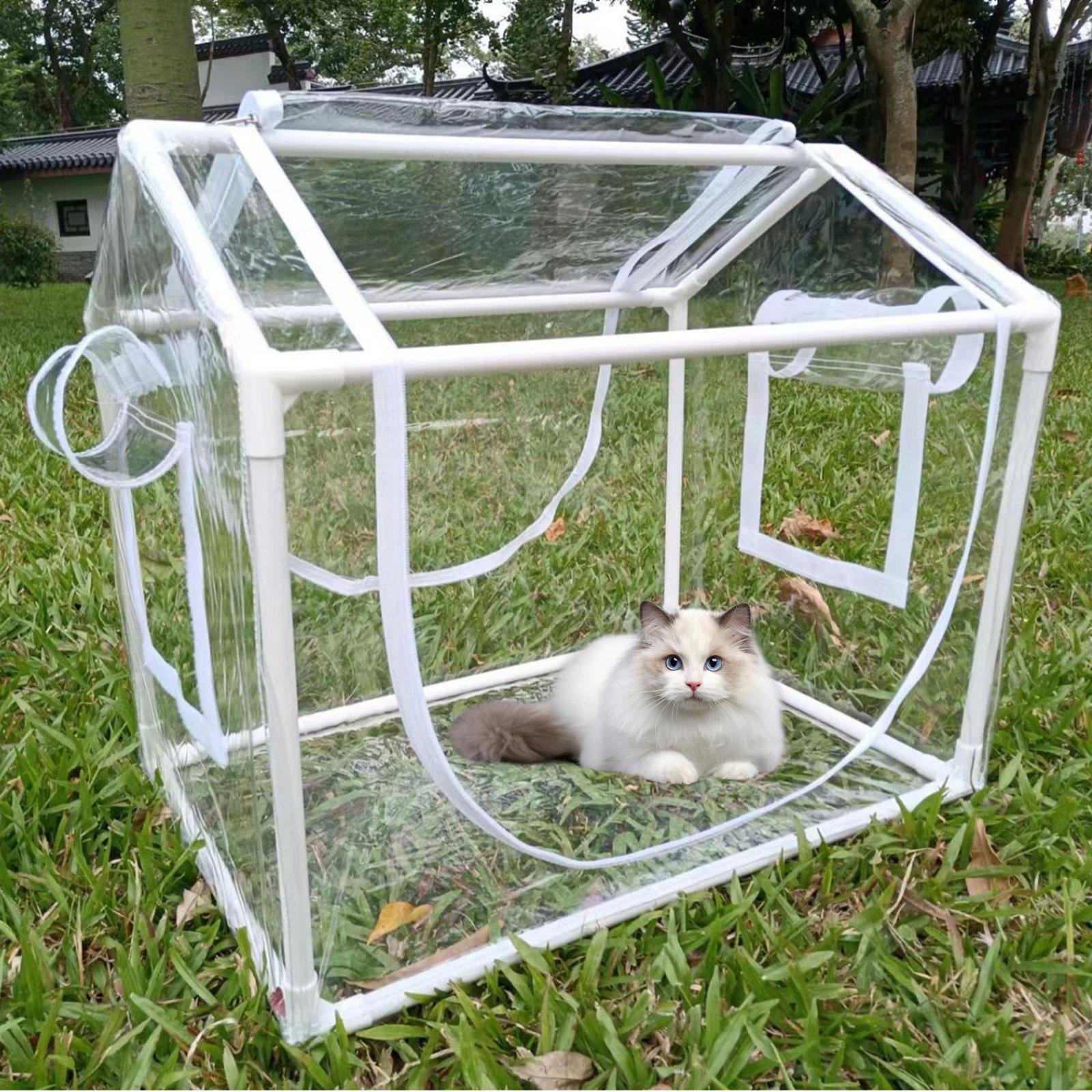 Kleines PVC-Mini-Gewächshaus K – Greenhouse Mini Indoor Bewertung und Preis