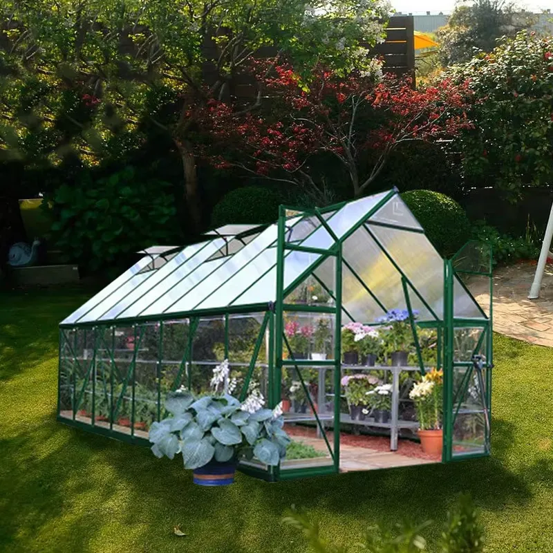 Großhandel PVC-Gewächshaus-Set – Greenhouse Mini Indoor Bewertung und Preis