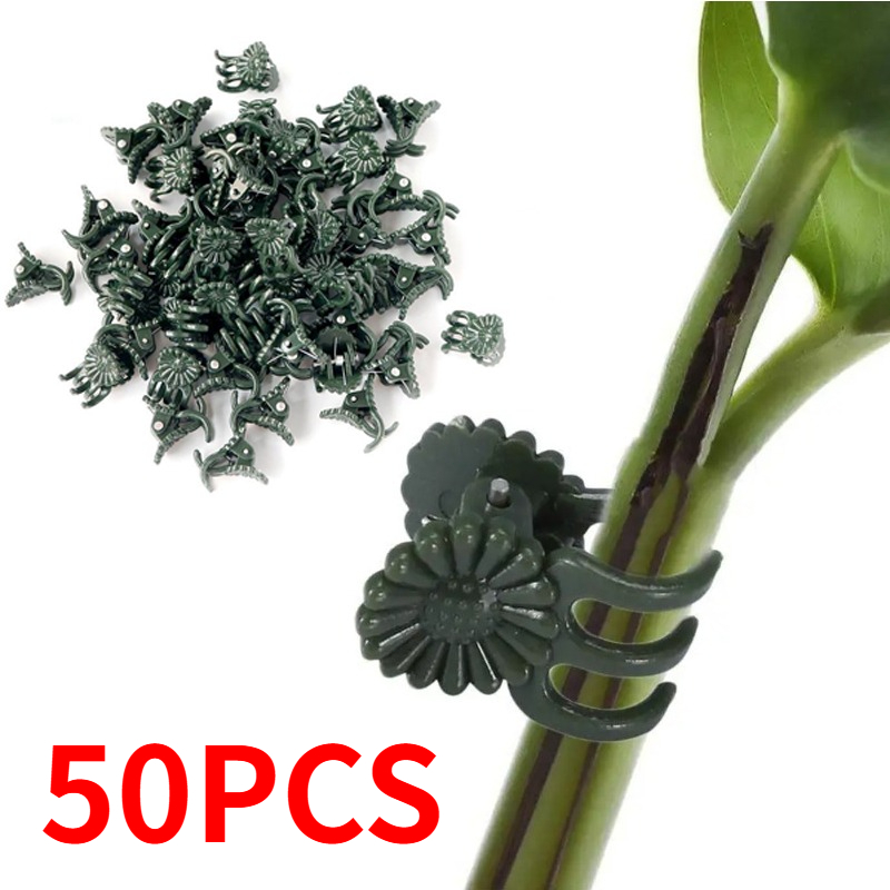50 Stück 5-Klauen dunkelgrüne  – Gardening Tools Bundle Bewertung und Preis