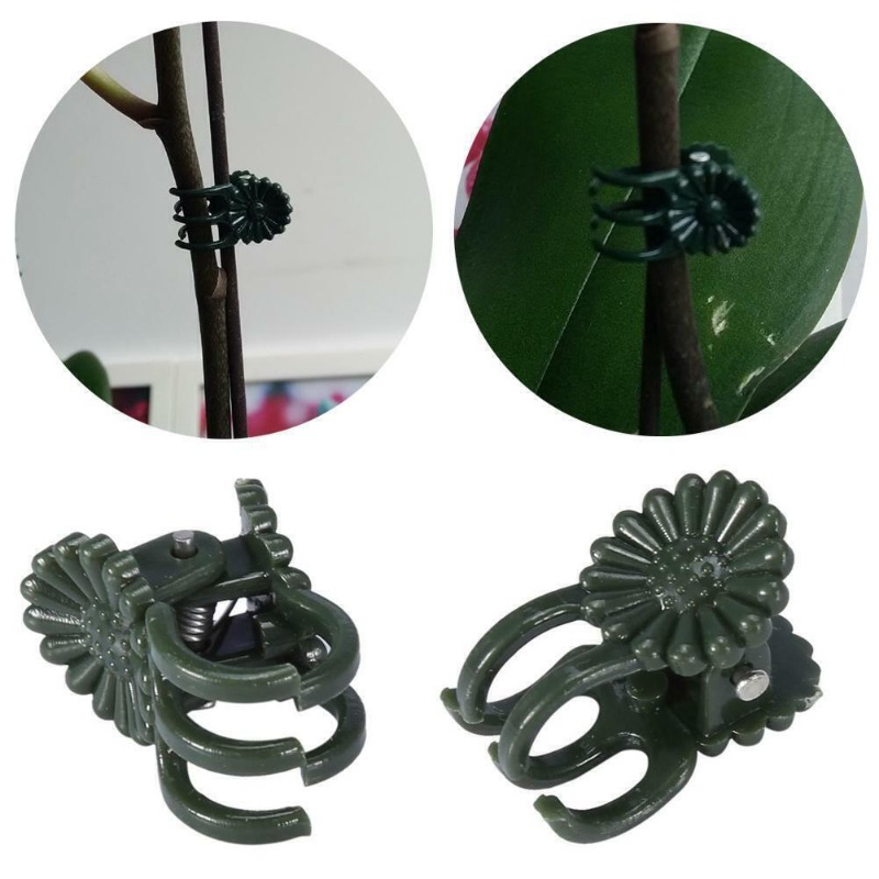50 Stück 5-Klauen dunkelgrüne  – Gardening Tools Bundle Bewertung und Preis