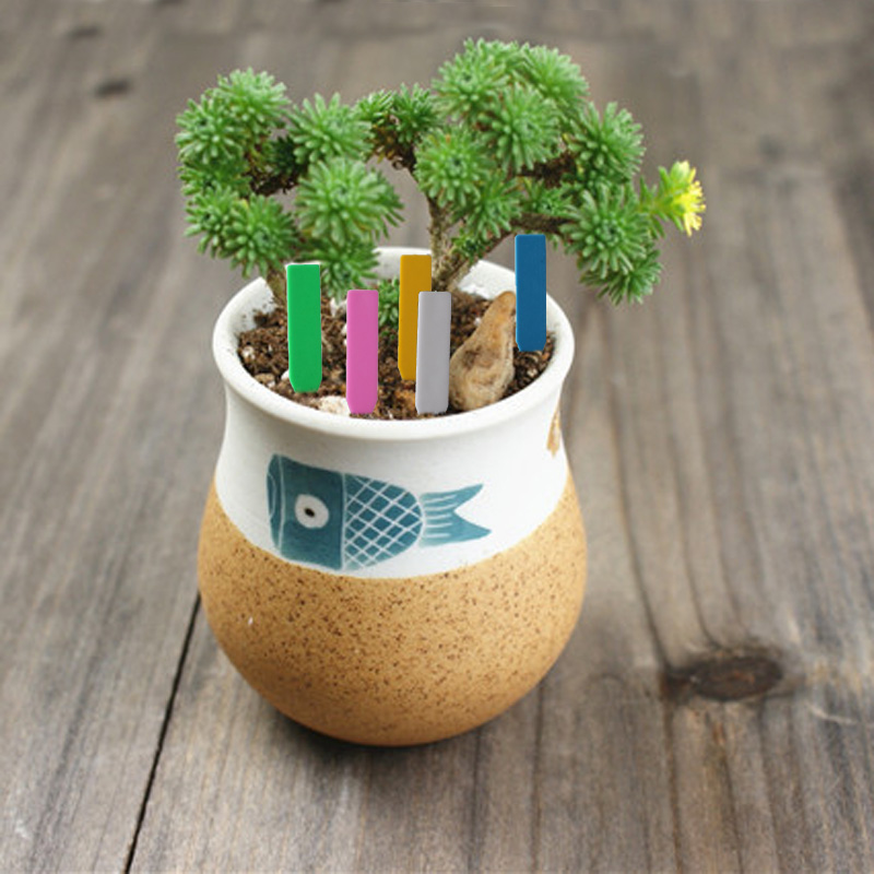 100 Stück Gartenpflanzen-Etike – Gardening Tools Labeled Bewertung und Preis