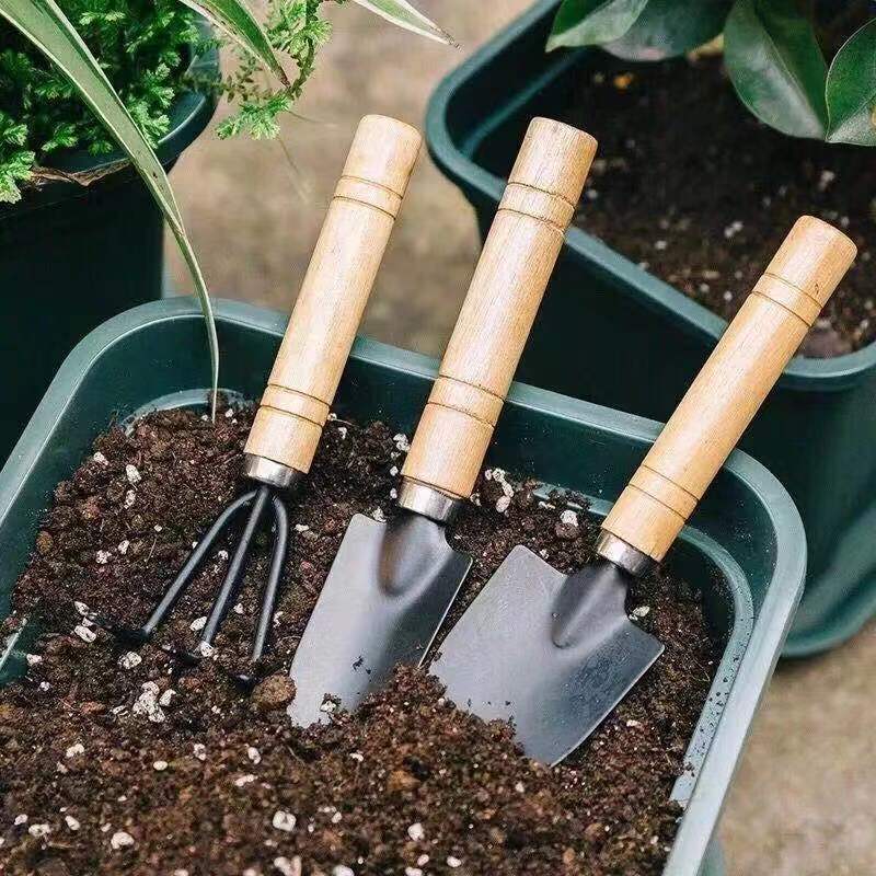 3PC/1Set Mini Gartengeräte Set – Gardening Tools Bundle Bewertung und Preis