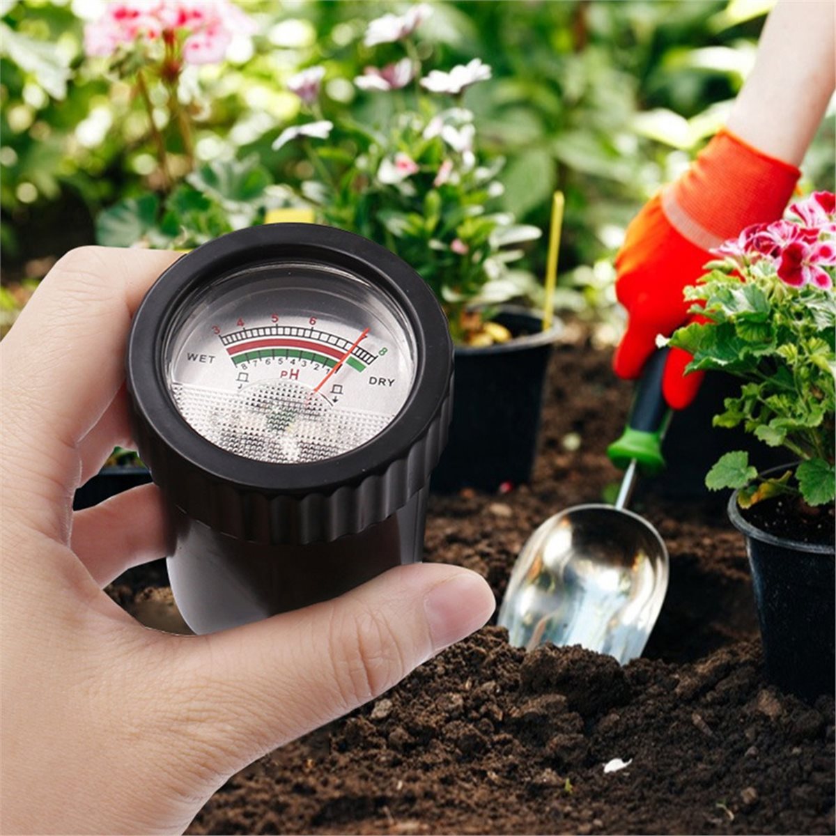 LNHF Boden-pH- und Feuchtigkei – Soil Ph Meter Bewertung und Preis