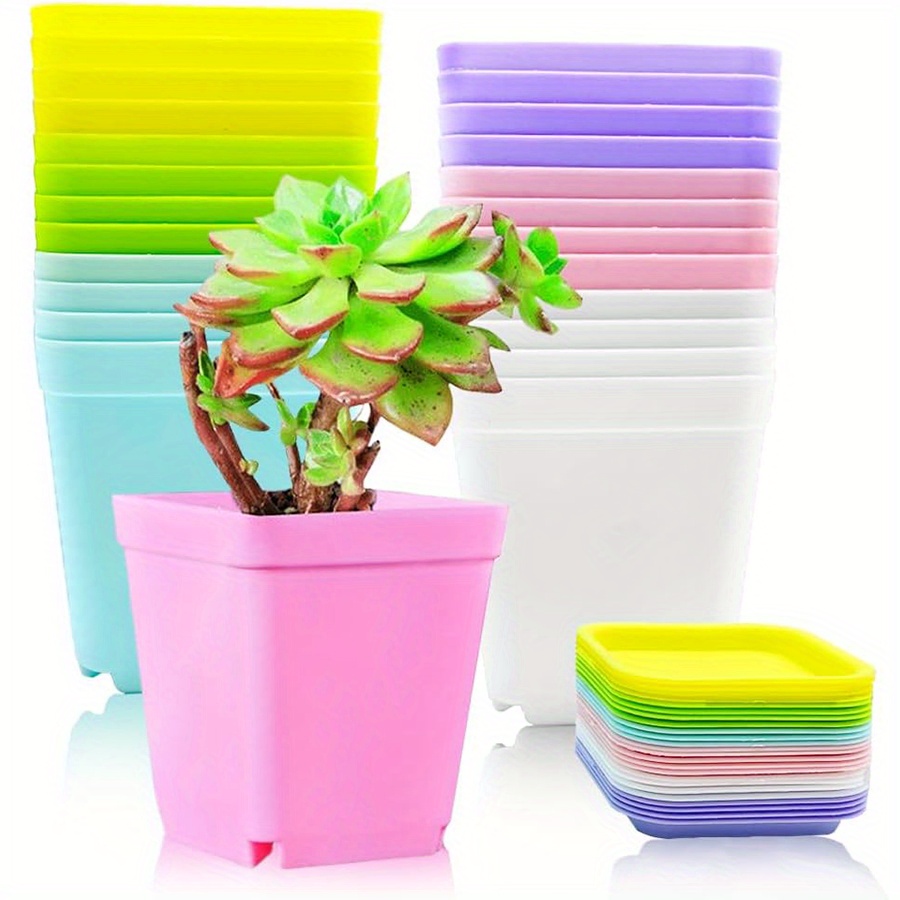 12 Stück 7 cm quadratische Kun – Seed Starter Trays Bewertung und Preis