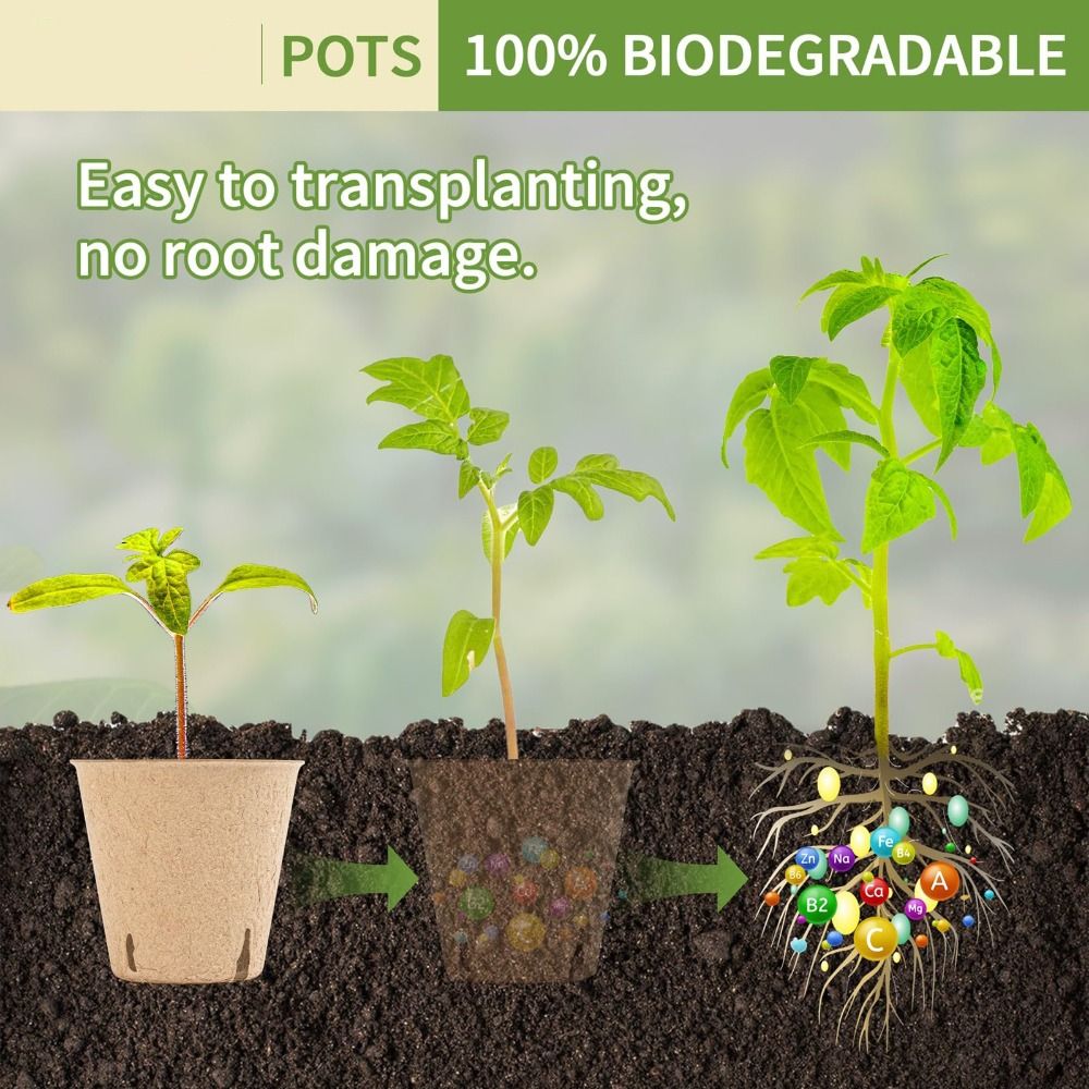 50 Stück Biologisch Abbaubare  – Seed Starter Trays Bewertung und Preis